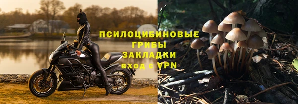apvp Приозерск
